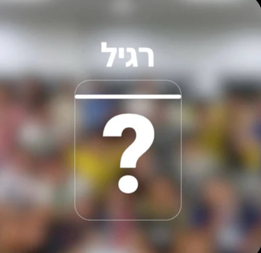 מיסטרי בוקס רגילה + שם ומספר