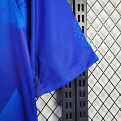 ברזיל חוץ 25/26