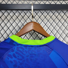 ברזיל חוץ 25/26