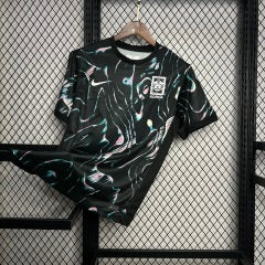 דרום קוריאה חוץ 2025