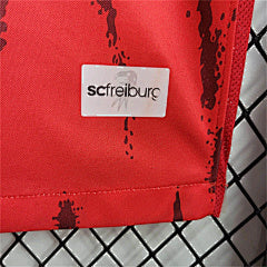 פרייבורג בית 24/25